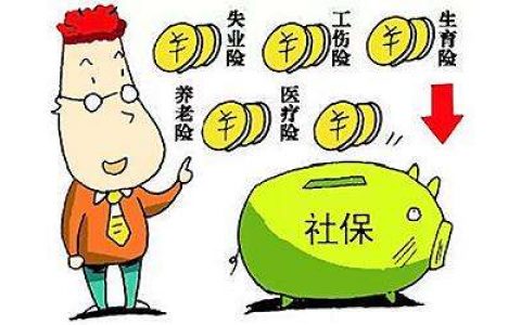 石家庄社保代缴仅需每公司每月100元
