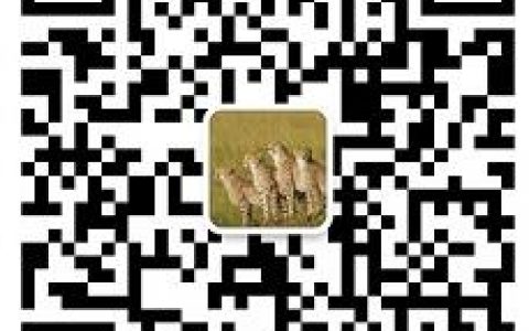联联周边游怎么代理？代理联联周边游收费吗？